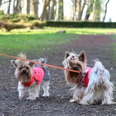 Spacerowa Z Balkonem Apartment Kolobrzeg