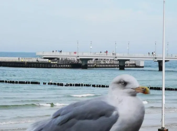 Spacerowa Z Balkonem *