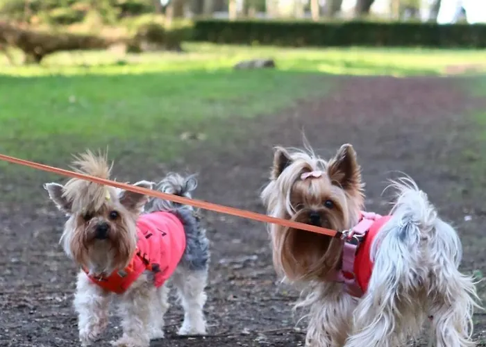 Spacerowa Z Balkonem شقة كولوبرزيغ